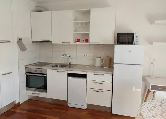 Toni - S Pogledom Na *